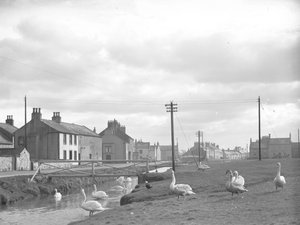 Straße in Allonby mit Schwänen und Bach von Joseph Hardman
