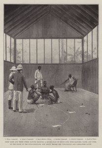 Die Benin-Expedition von Joseph Holland Tringham