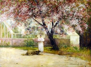 Blüte von Joseph Malachy Kavanagh