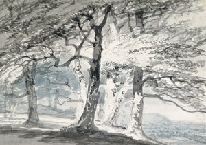 Norbury Park, Surrey von Joseph Mallord William (attr.to) Turner