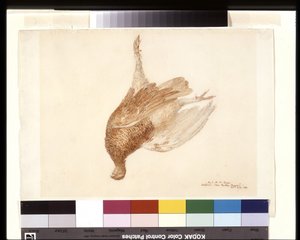 Totes Moorhuhn von Joseph Mallord William Turner