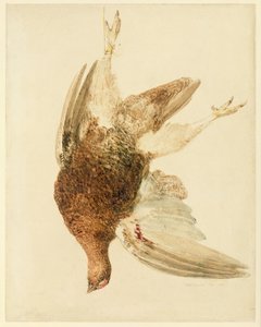 Birkhuhn, aus The Farnley Book of Birds, ca. 1816 von Joseph Mallord William Turner