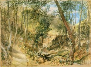 Der Waldweg, Farnley Hall