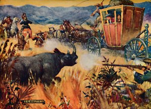Simon van der Stel und das Nashorn, 1909