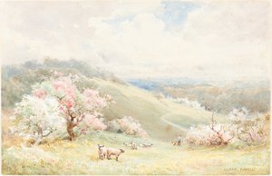 Frühling