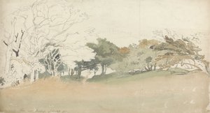 Bäume in der Nähe von Hastings von Joshua Cristall