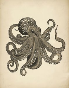 Eleganter Vintage Oktopus von Josie George