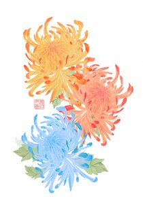 Lebendige asiatische Chrysanthemen