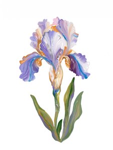 Lebendige malerische Iris von Josie George