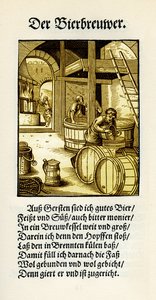 Der Brauer