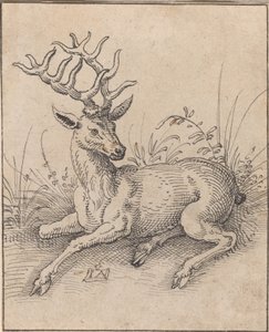 Der Hirsch