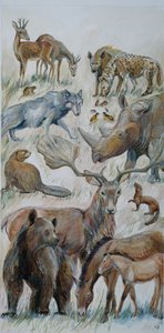 Boxgrove-Tiere identifiziert durch Ausgrabung