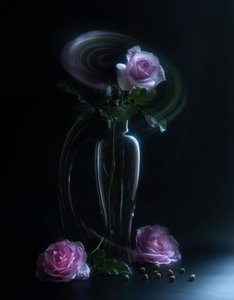 Ätherische Rosenvase