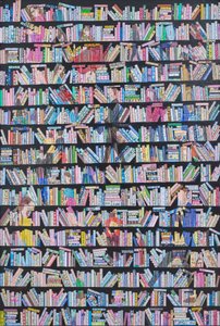 Bücherregal Leser