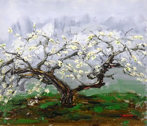 Frühlingsblütenbaum