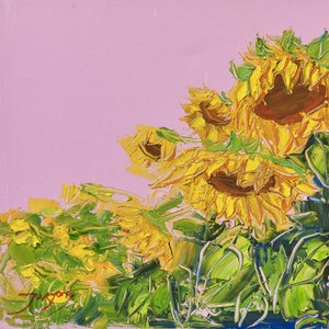 Lebendige Sonnenblumen rosa Himmel