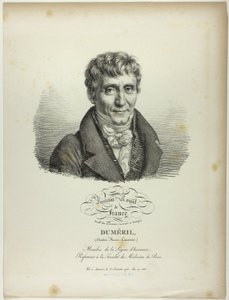Porträt von André-Marie-Constant Duméril
