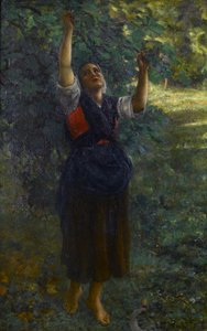 Feigenpflückerin von Jules Breton