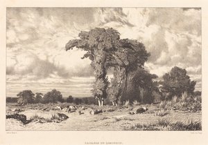 Weiden des Limousin von Jules Dupré