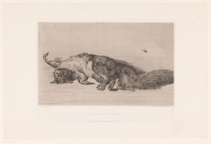 Totes Eichhörnchen und Fliege von Jules Ferdinand Jacquemart