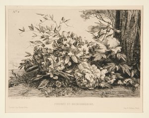 Pfingstrosen und Rhododendren von Jules Ferdinand Jacquemart