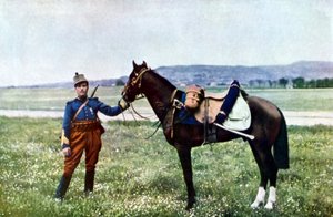 Ein französischer Brigadier und sein Pferd während der Schlacht an der Marne östlich von Paris, September 1914