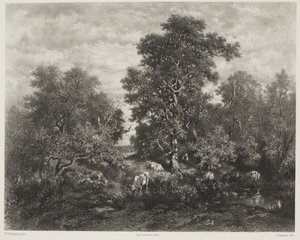 Der Teich, nach Théodore Rousseau (1812-67) von Jules Joseph Augustin Laurens
