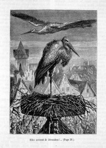 Störche auf einem Dach - in „Der Freund Fritz“ von Erckmann-Chatrian, ill. von Théophile Schuler