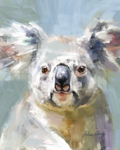 Sanfter Koala-Blick von Julia Cheney