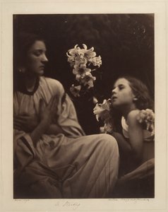 Eine Studie von Julia Margaret Cameron