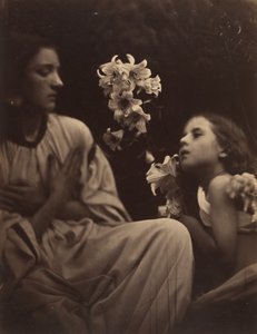 Eine Studie von Julia Margaret Cameron