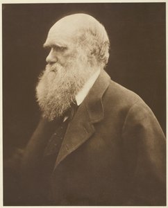Charles Darwin von Julia Margaret Cameron