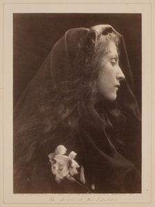Der Engel am Grab von Julia Margaret Cameron