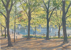 Central Park, New York von Julian Barrow