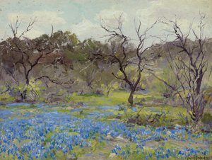 Früher Frühling—Blauhauben und Mesquite von Julian Onderdonk