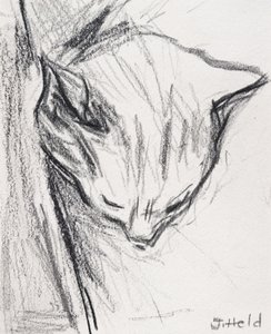 Schlafende Katze, 2015