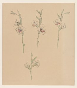 Blumenstudien