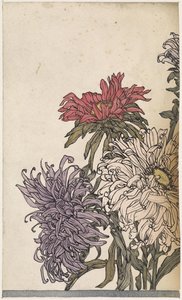 Chrysanthemen von Julie de Graag