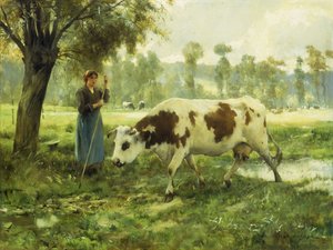 Kühe auf der Weide