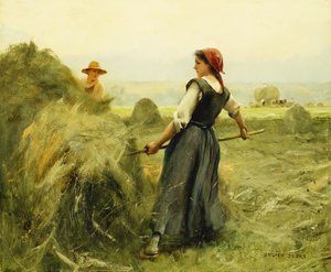 Heuernte
