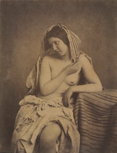 Studie nach der Natur von Julien Vallou de Villeneuve