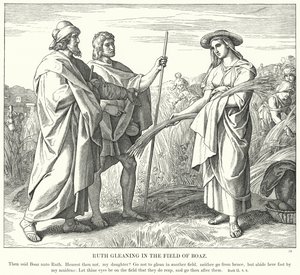 Ruth sammelt Ähren im Feld von Boas (Gravur) von Julius (after) Schnorr von Carolsfeld