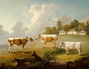 Drei Langhornrinder in der Landschaft von Julius Caesar Ibbetson