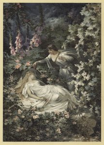 Illustration für Ein Sommernachtstraum von Julius Hoeppner