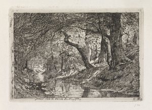 Waldlandschaft mit Bach und Bäumen am Ufer