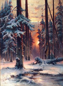 Winterdämmerung im Tannenwald