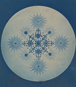 [Frusteln von Diatomeen], ca. 1870