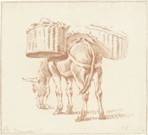 Beladener Esel von Jurriaan Cootwijck
