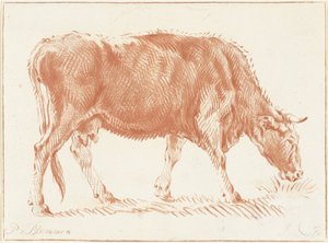 Weidende Kuh von Jurriaan Cootwijck