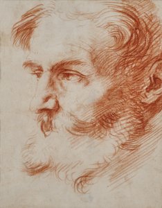 Kopf eines bärtigen Mannes von Jusepe de Ribera